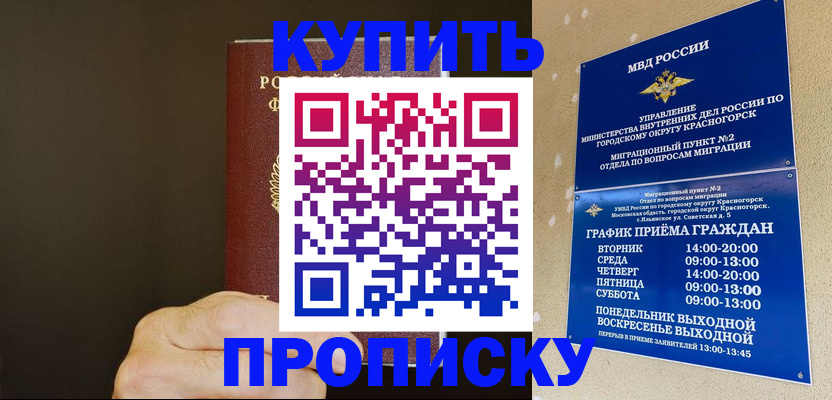 прописка поиск в Бийске